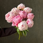 Свежих 9 розовых пионов под ленту  - Фотография 6