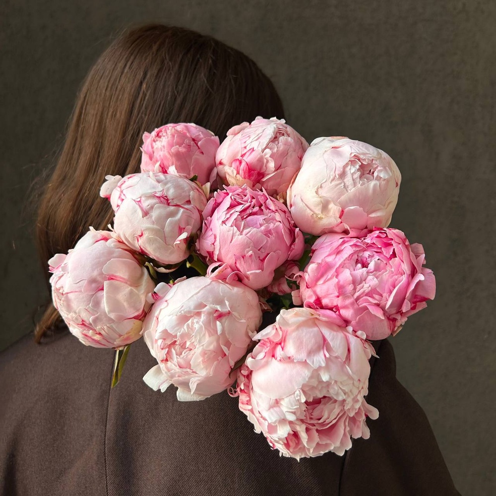 Свежих 9 розовых пионов под ленту 