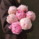 Свежих 7 розовых пионов под ленту  - Фотография 4