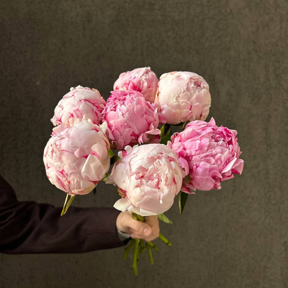 Свежих 7 розовых пионов под ленту 