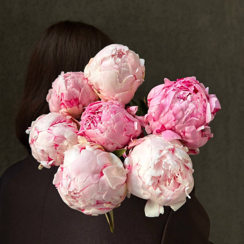 Свежих 7 розовых пионов под ленту 