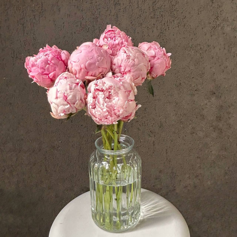 Свежих 7 розовых пионов под ленту 