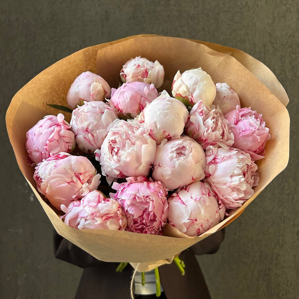 Свежих 17 розовых пионов в крафте