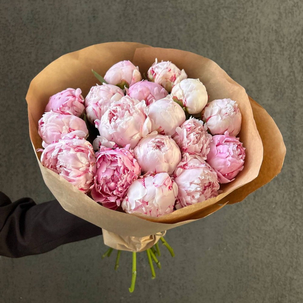 Свежих 17 розовых пионов в крафте