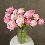 Свежих 17 розовых пионов в крафте - Фотография 3