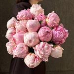 Свежих 17 розовых пионов под ленту  - Фотография 2