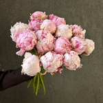 Свежих 17 розовых пионов под ленту  - Фотография 6