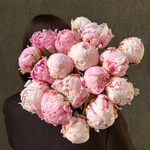 Свежих 17 розовых пионов под ленту  - Фотография 5