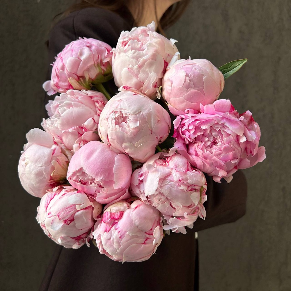 Свежих 11 розовых пионов под ленту 