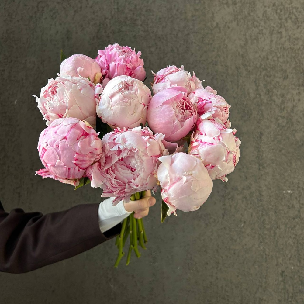 Свежих 11 розовых пионов под ленту 