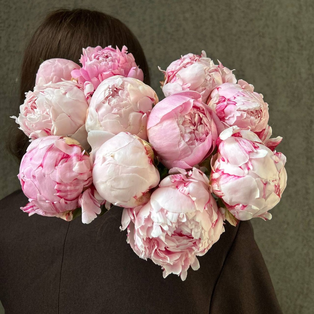 Свежих 11 розовых пионов под ленту 