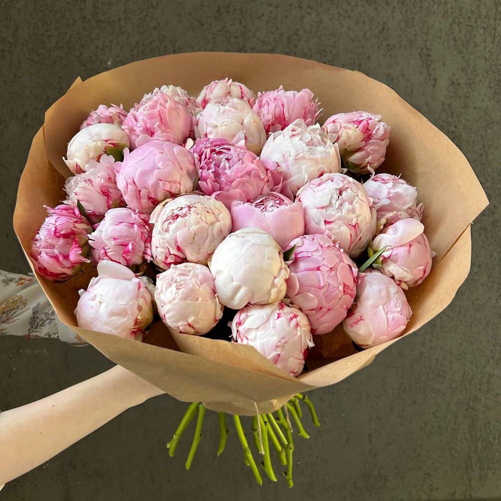 Свежих 25 розовых пионов в крафте