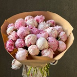 Свежих 25 розовых пионов в крафте - Фотография 1 Свежих 25 розовых пионов в крафте - Фотография 1