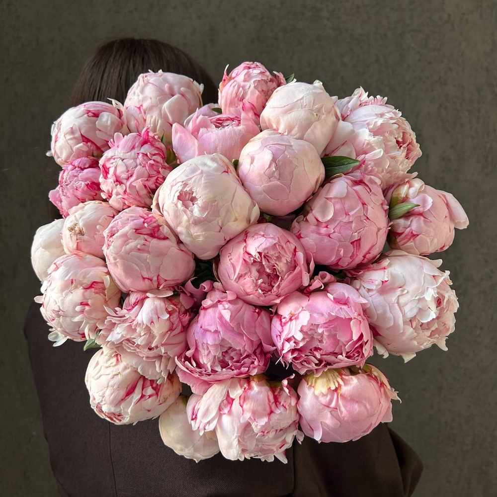 Свежих 25 розовых пионов под ленту 