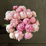 Свежих 25 розовых пионов под ленту  - Фотография 7