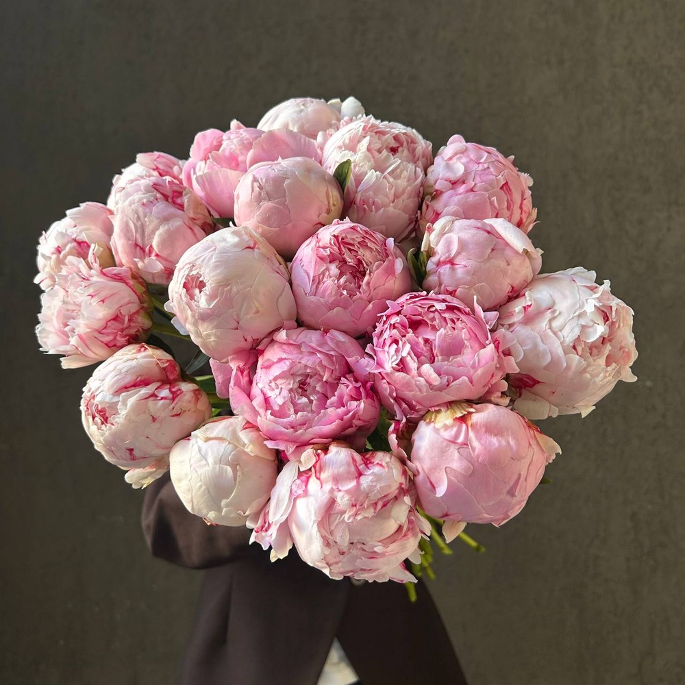 Свежих 19 розовых пионов под ленту 