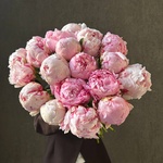 Свежих 19 розовых пионов под ленту  - Фотография 1