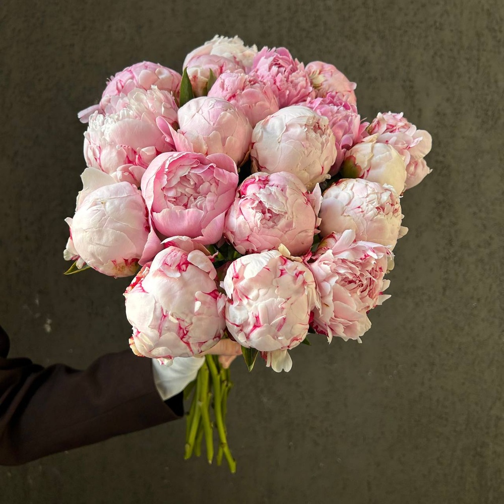 Свежих 19 розовых пионов под ленту 