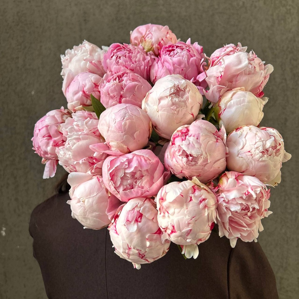 Свежих 19 розовых пионов под ленту 