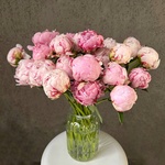 Свежих 19 розовых пионов под ленту  - Фотография 3