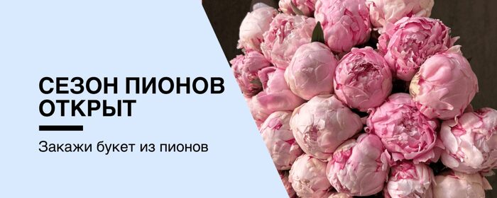 Пионы с доставкой в Санкт-Петербурге