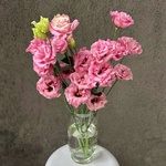 Розовая эустома: букет из 5 цветков в крафте - Фотография 5