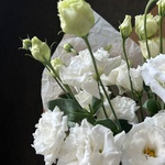 Белая эустома: букет из 5 цветков в крафте - Фотография 10