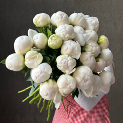 Букет «Свежих 25 белых пионов под ленту »