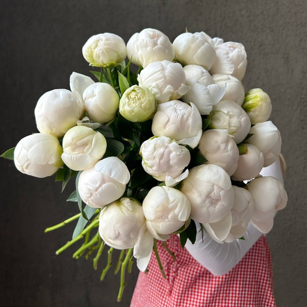Свежих 25 белых пионов под ленту 