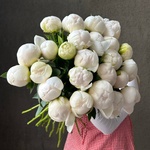 Свежих 25 белых пионов под ленту  - Фотография 1