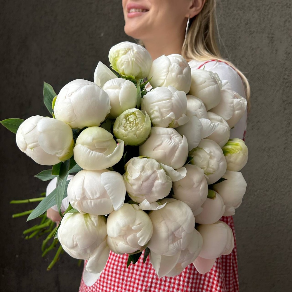 Свежих 25 белых пионов под ленту 