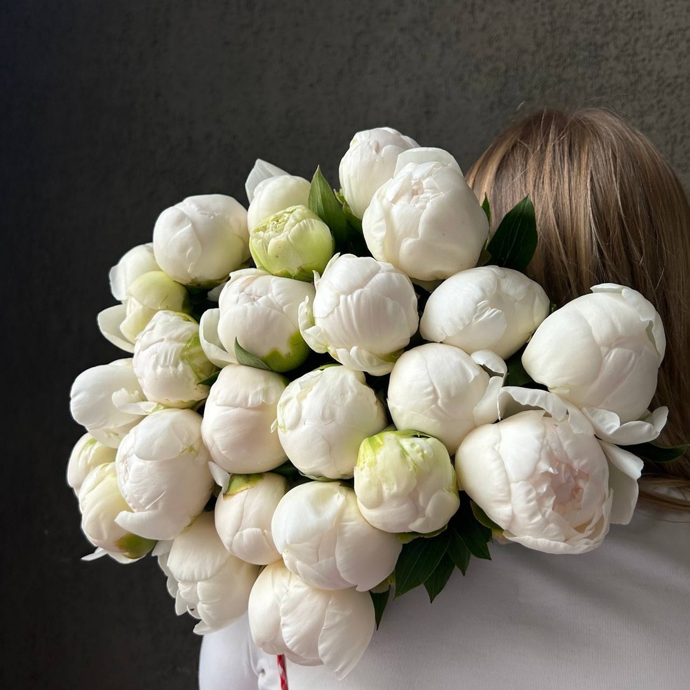 Свежих 25 белых пионов под ленту 