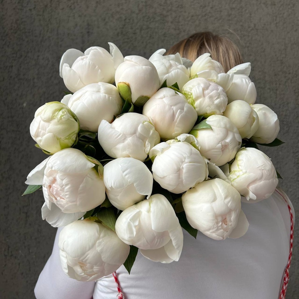 Свежих 21 белых пионов под ленту