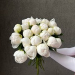 Свежих 21 белых пионов под ленту - Фотография 7