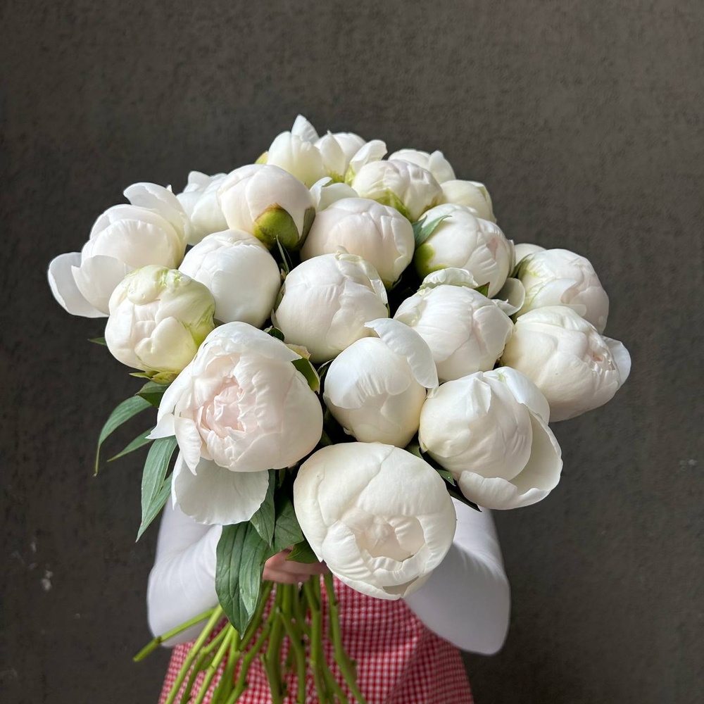 Свежих 21 белых пионов под ленту