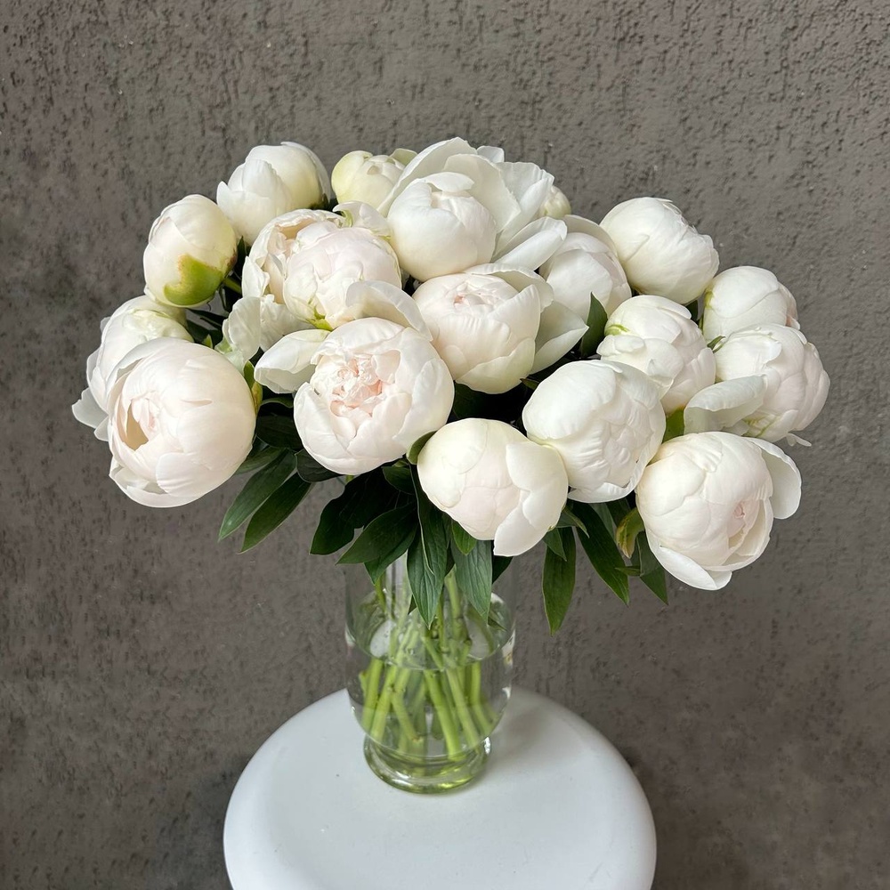 Белые пионы