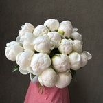 Свежих 19 белых пионов под ленту  - Фотография 1