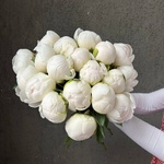 Свежих 19 белых пионов под ленту  - Фотография 6