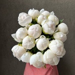 Свежих 17 белых пионов под ленту  - Фотография 1