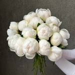 Свежих 17 белых пионов под ленту  - Фотография 6