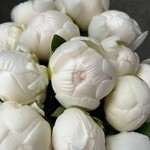 Свежих 17 белых пионов под ленту  - Фотография 5