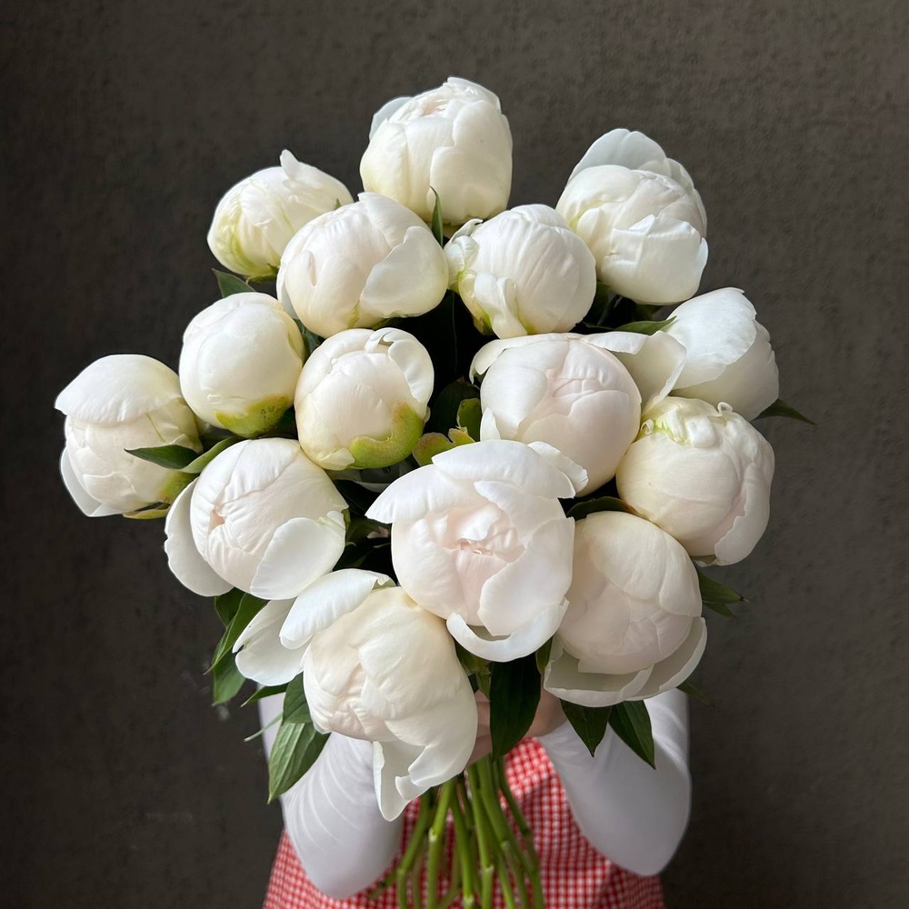 Свежих 15 белых пионов под ленту 