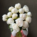 Свежих 15 белых пионов под ленту  - Фотография 1