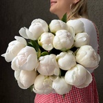 Свежих 15 белых пионов под ленту  - Фотография 2