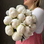 Свежих 13 белых пионов под ленту - Фотография 2