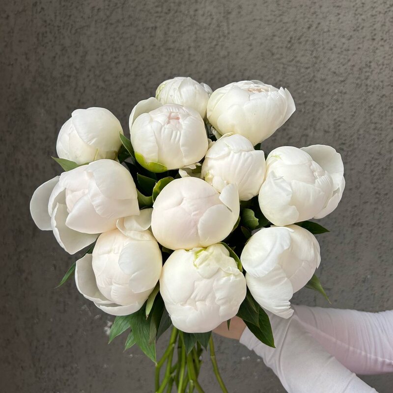 Букет из 11 белых пионов под ленту