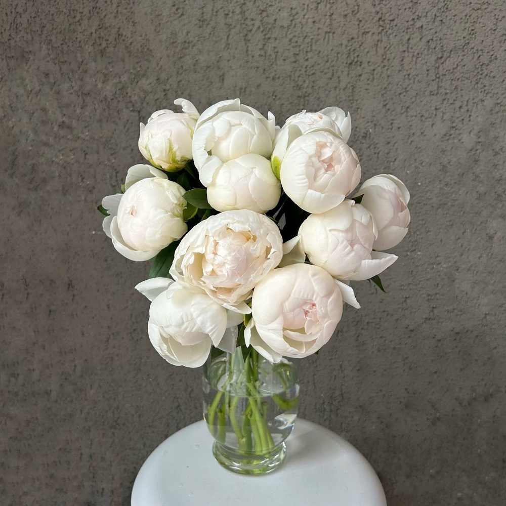 Свежих 11 белых пионов под ленту 