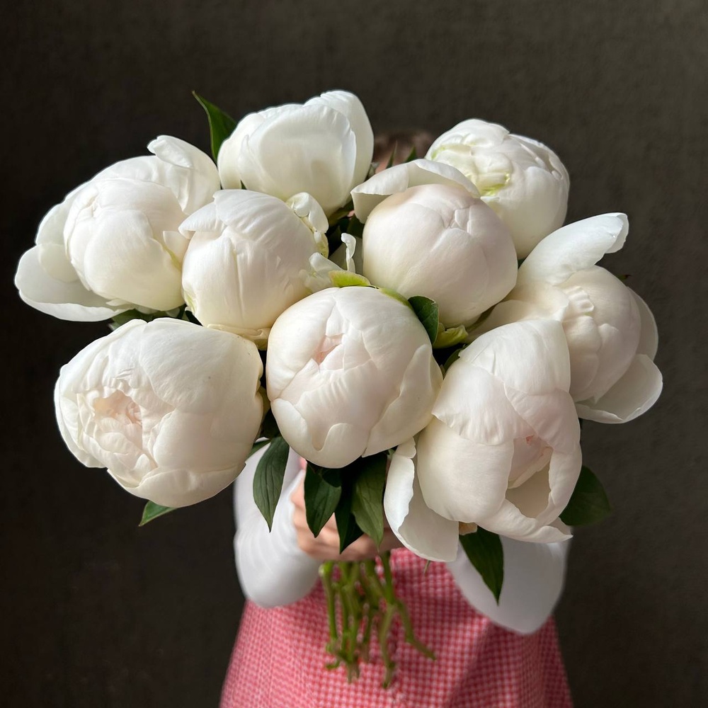 Свежих 9 белых пионов под ленту 