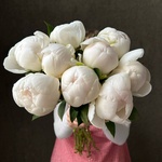 Свежих 9 белых пионов под ленту  - Фотография 1