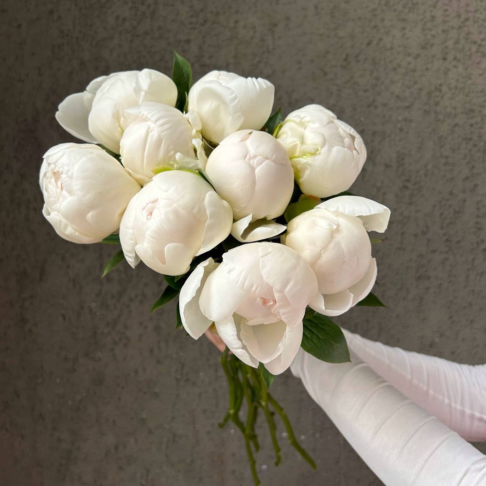 Свежих 9 белых пионов под ленту 